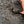 Load image into Gallery viewer, Organic Garden Compost and Soil Conditioner PAS100 Loose Tipped