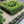 Load image into Gallery viewer, Cotswold Buff Chippings 10- 20mm | Loose Tipped Load