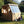 Load image into Gallery viewer, potting shed door open with mower