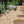 Load image into Gallery viewer, Apricot Gravel garden