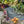 Load image into Gallery viewer, Black Basalt 14mm Garden Path