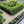 Load image into Gallery viewer, Cotswold Chipping 10-20mm Garden Design
