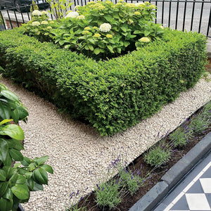 Cotswold Chipping 10-20mm Garden Design in