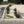 Load image into Gallery viewer, Polar White 8-11mm Garden Design