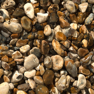 Oyster Pebbles 20mm in