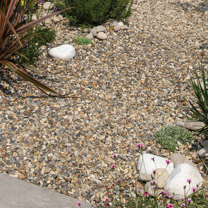 Oyster Pebbles 20mm Garden Design in