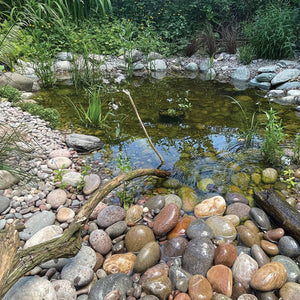 Scottish Cobbles 50-75mm  Garden Pond in