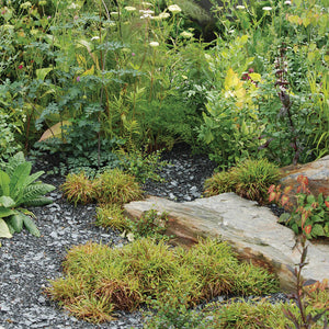 Blue Slate 20mm Garden Design in