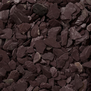 Oyster Pebbles 40mm in