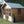 Load image into Gallery viewer, Alpine Wing Summer House