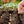 Load image into Gallery viewer, Seeding with Enriched Vegetable Growing Top Soil