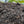 Load image into Gallery viewer, Garden Compost - Organic Peat Free | Multi Purpose Compost & Soil Conditioner