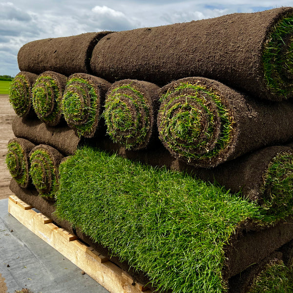 Premium Turf