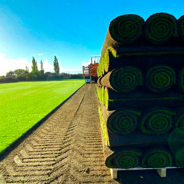 Premium Turf