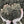 Load image into Gallery viewer, top soil multi purpose in hands