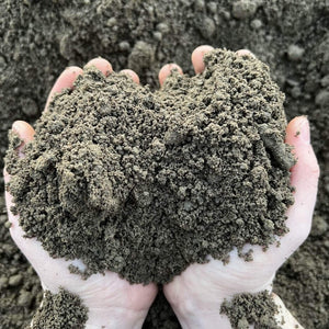 top soil multi purpose in hands