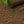 Load image into Gallery viewer, Top soil lawn and seed raking soil