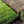 Load image into Gallery viewer, Turf Roll being laid