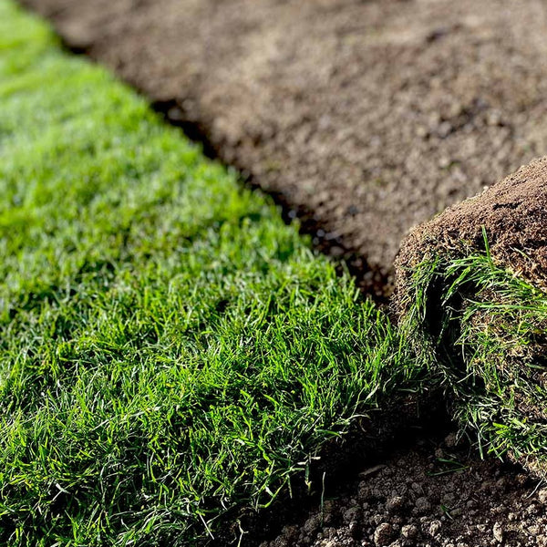Turf Roll being laid