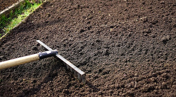 Expert Turfing Guide: Preparing Topsoil for Turf