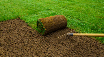 Preparing Top Soil For Turfing a New Lawn. Topsoil for Seeding and Turfing