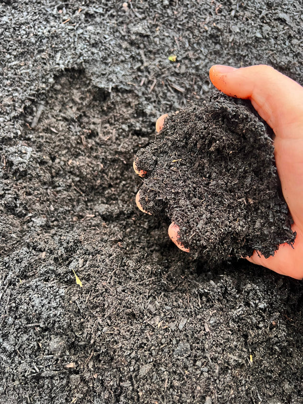 Garden Compost - Organic Peat Free | Multi Purpose Compost & Soil Conditioner