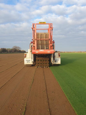 Turf harvester, cutting fresh turf for delivery