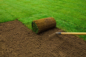 Turf for Gardens& Lawns