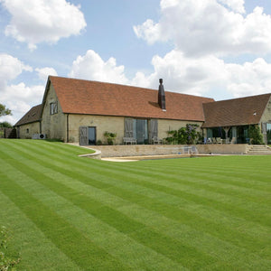 Buckley Premium Turf Country Lawn