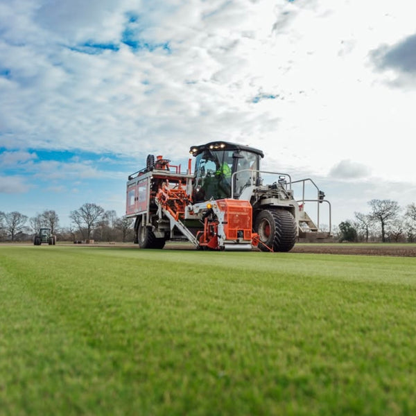 Buckley Premuim Turf Cutter