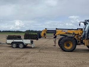 Loading Turd onto our trailer