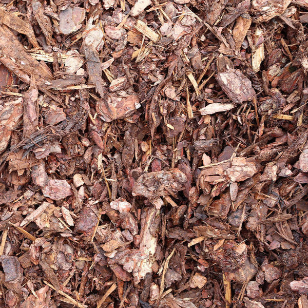 Pine Play Bark 15-60mm