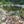 Load image into Gallery viewer, Scottish Cobbles 50-75mm  Garden Pond
