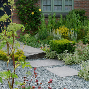 Green Slate 20mm Garden Design in