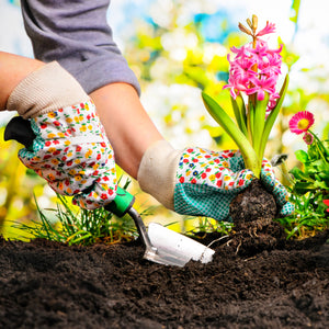 Planting flowers using Beds & Borders Top Soil Enriched