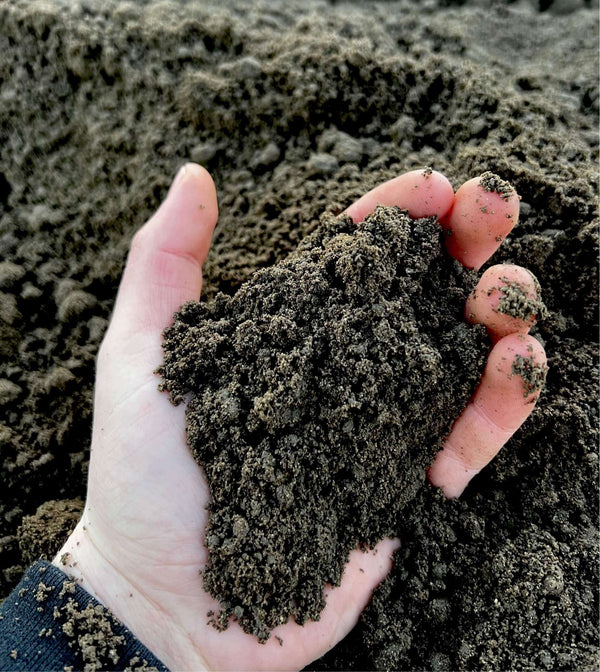 Vegetable top soil in hand