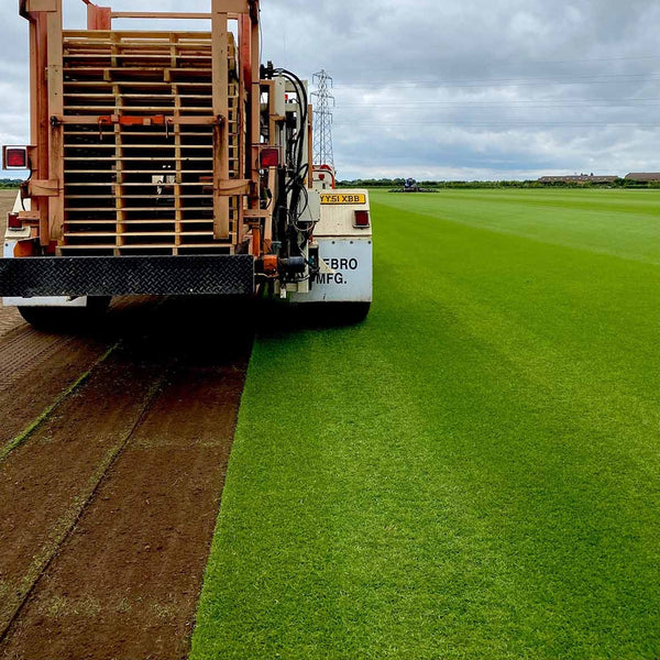 Turf Harvesting