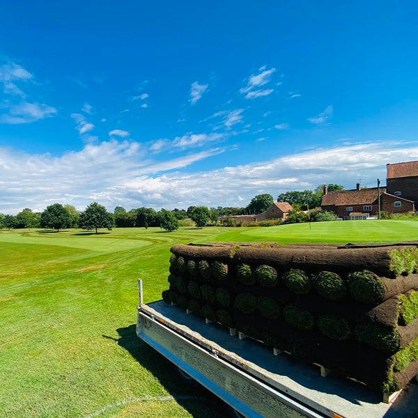 Turf for a Golf Course