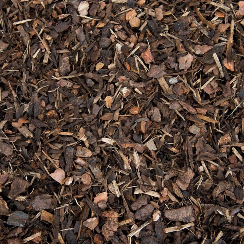 bark chippings