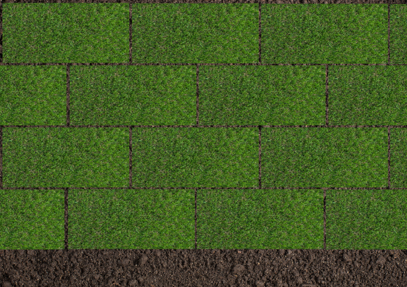 How To Lay Turf Rolls