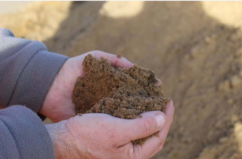 lawn top dressing soil
