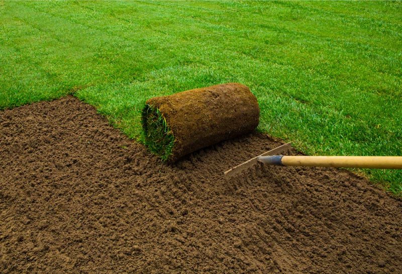 preparing soil for turfing how to prepare topsoil for laying turf 3