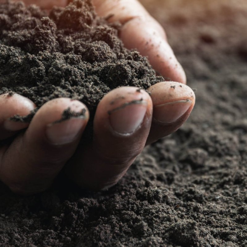 top soil loose tipped