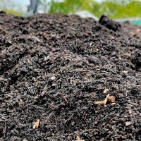 Garden Compost - Organic Peat Free Multi Purpose Compost & Soil Conditioner
