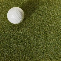 Proline Putting Turf Artificial Grass 16mm Pile Height