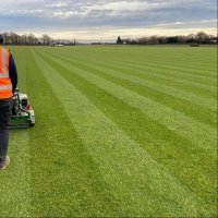 Tillers Turf Arena Gold – Premium Fine Lawn Turf for Ornamental Lawns – BS3969 Certified by Tillers Turf