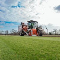 Tillers Turf Arena Gold – Premium Fine Lawn Turf for Ornamental Lawns – BS3969 Certified by Tillers Turf