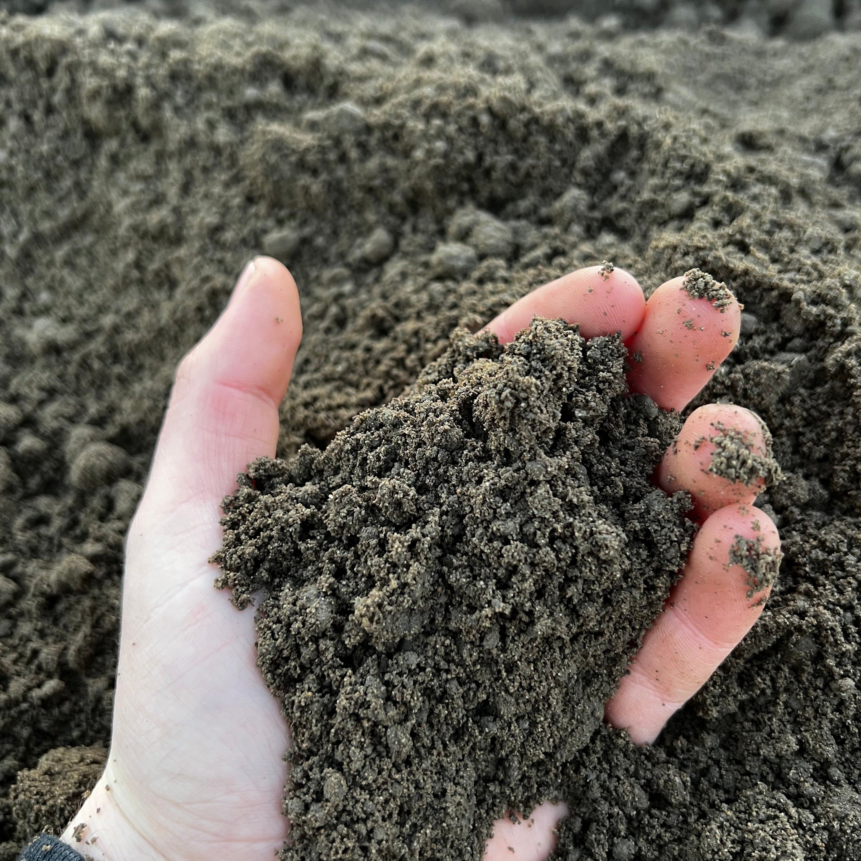 Top Soil - Beds & Borders Loose Tipped