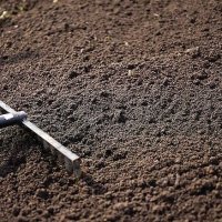 Top Soil - Multi Purpose