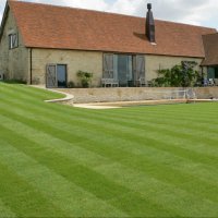 Premium Turf